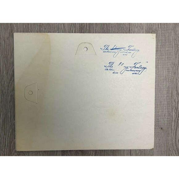 Vintage Silvery Fantasy Foil Engraving Print Fall Leaves Autumn Trees USA - Picture 8 of 13